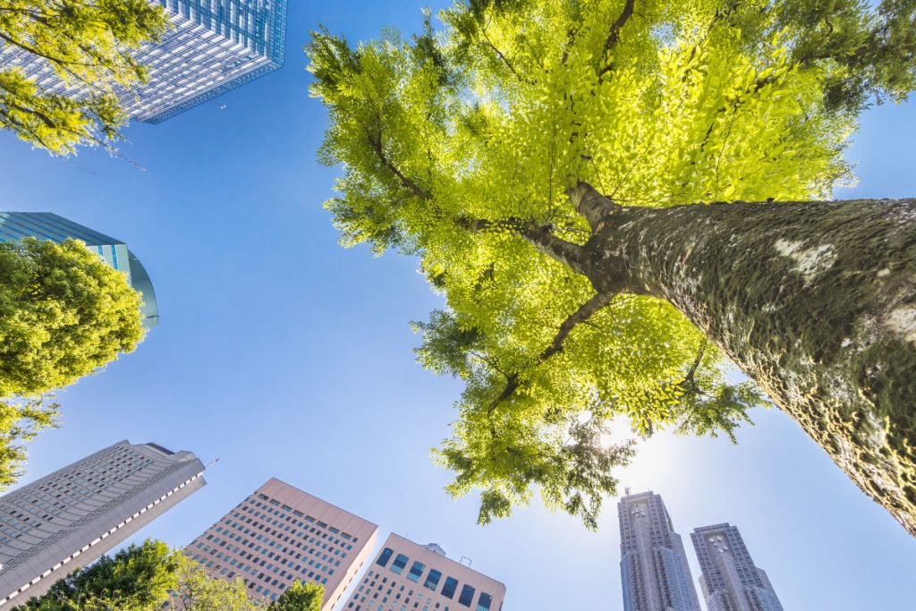 giornata mondiale della terra 2025