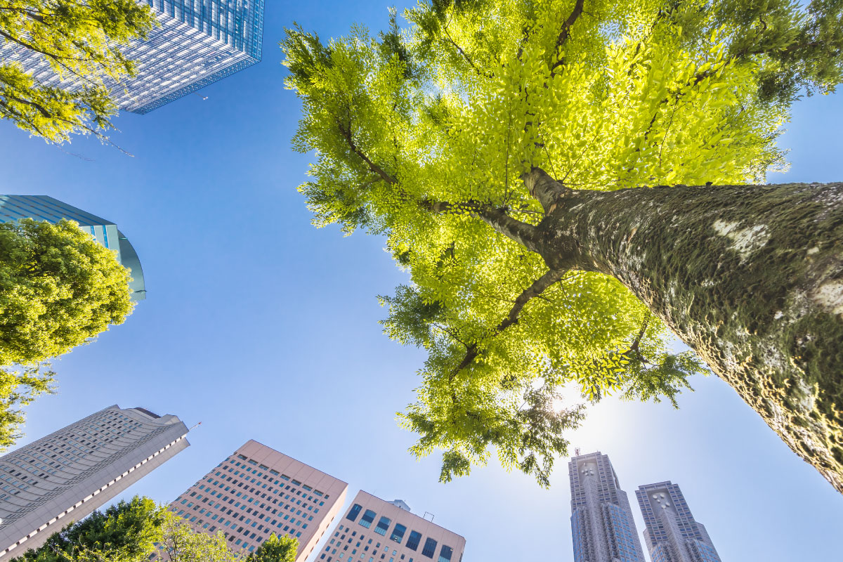 giornata mondiale della terra 2025